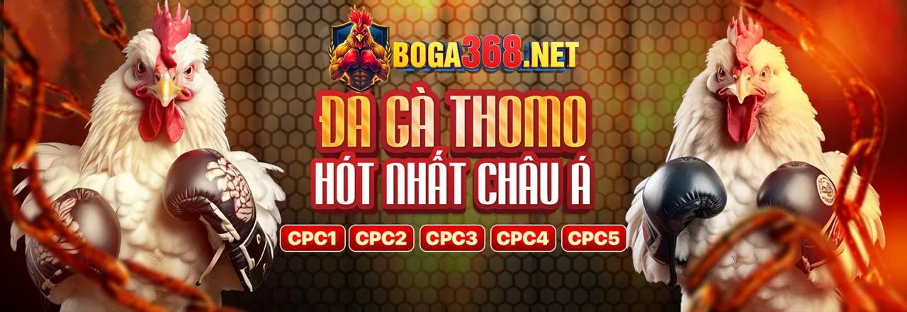 Tin tức 3app mới nhất 2026